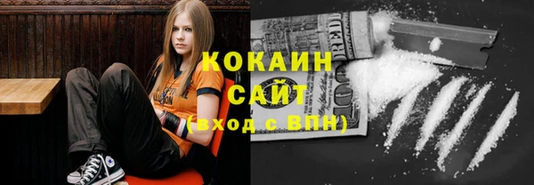 ГАЛЛЮЦИНОГЕННЫЕ ГРИБЫ Алексин