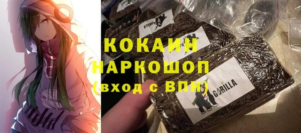 ГАЛЛЮЦИНОГЕННЫЕ ГРИБЫ Алексин